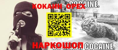 ГАЛЛЮЦИНОГЕННЫЕ ГРИБЫ Кингисепп