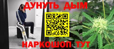 ГАЛЛЮЦИНОГЕННЫЕ ГРИБЫ Кингисепп