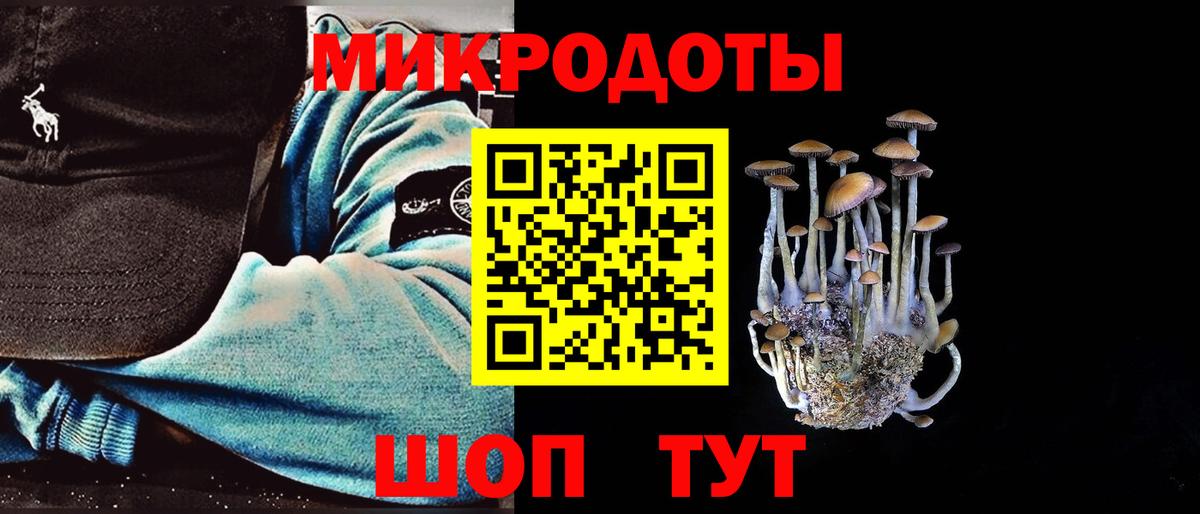 Галлюциногенные грибы Psilocybe Нурлат