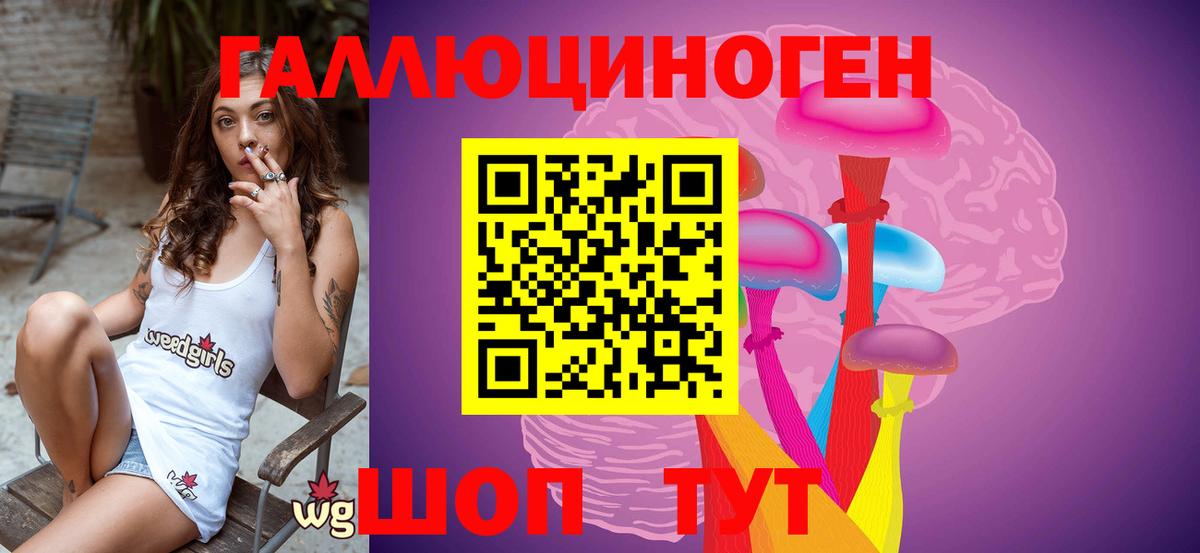 Нурлат  Псилоцибиновые грибы Psilocybine cubensis  Вход с VPN 
